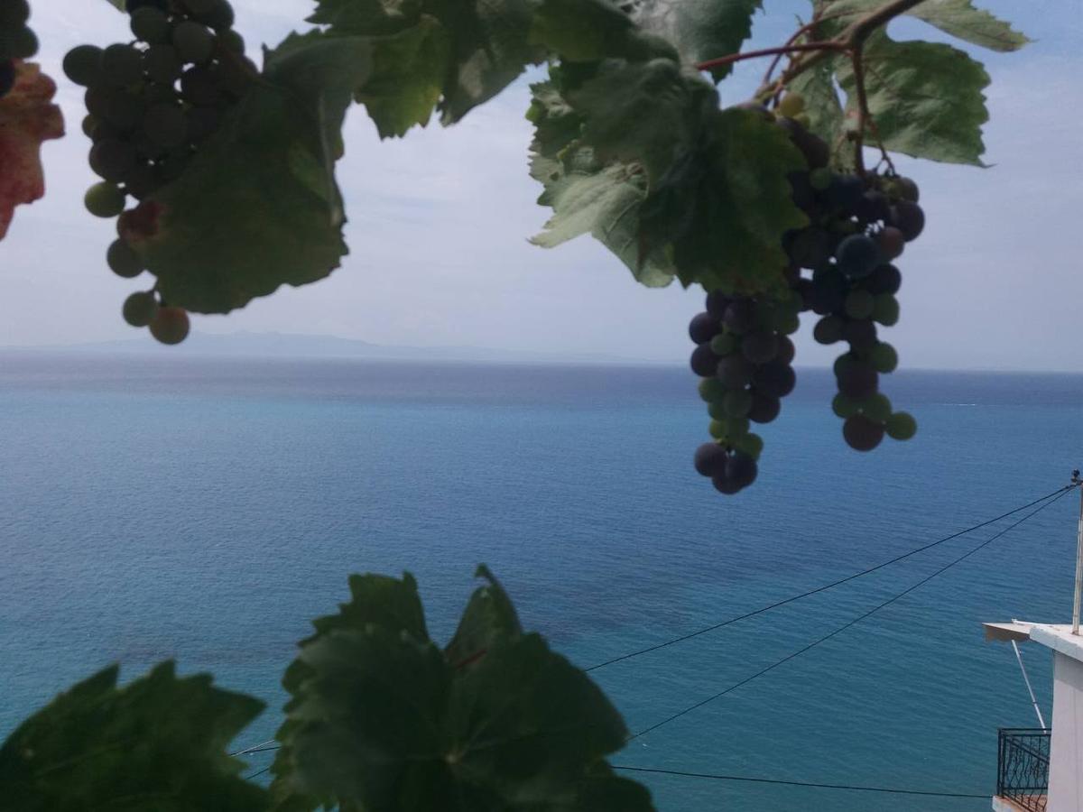 فندق Blue View كيبارو المظهر الخارجي الصورة