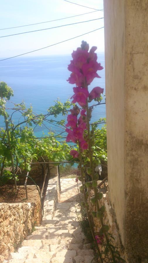 فندق Blue View كيبارو المظهر الخارجي الصورة